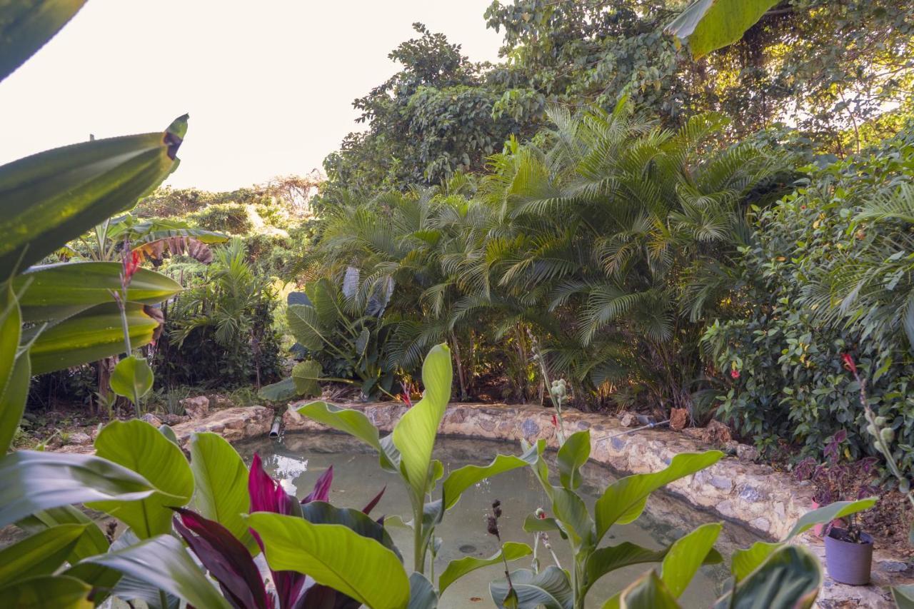 Samana Ecolodge El Limon Luaran gambar